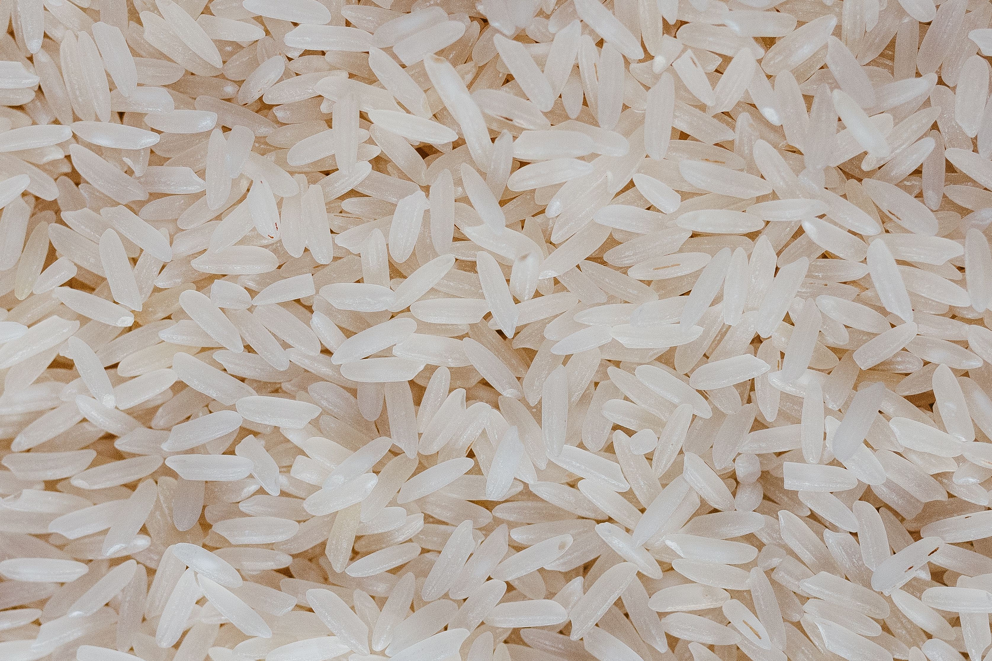 Rice